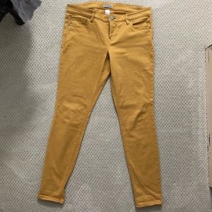 Express pants